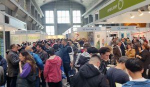 Eficam 2024 recibió cerca de 2.000 los visitantes según los organizadores del certamen