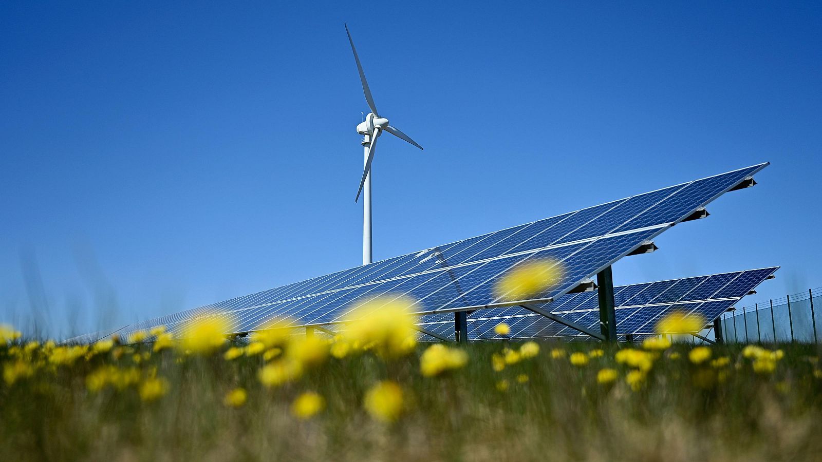 El precio de la luz, en negativo por primera vez en su historia