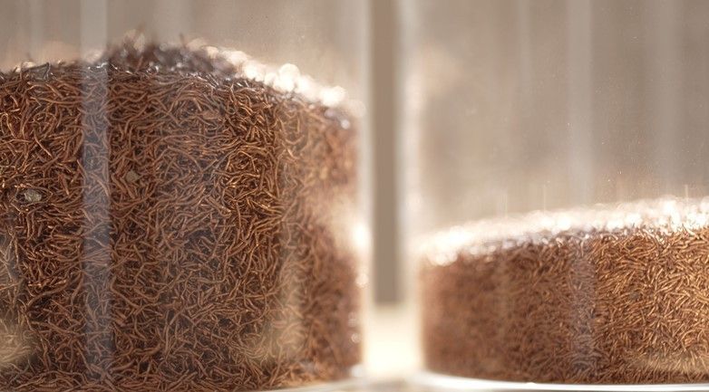 Sonepar España recicla 46.000 kilogramos de cable en un año, tras un acuerdo con Nexans