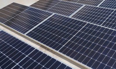 Un informe analiza los parámetros globales esenciales de las renovables en el presente y su proyección hacia el futuro