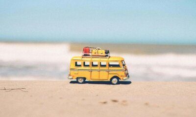 ¡Este newsletter cierra por vacaciones, pero regresaremos el martes 3 de septiembre!