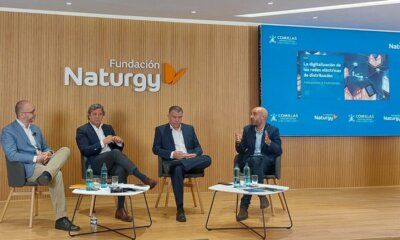 Cómo incentivar la remuneración a los gestores de red por el incremento de las inversiones y de los costes operativos