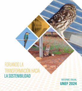 En 2023 se superó el récord de potencia fotovoltaica instalada, aún con el retroceso del autoconsumo