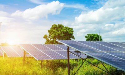 Las renovables baten todos los récords en 2024 y alcanzan el 56 % de toda la generación eléctrica en España