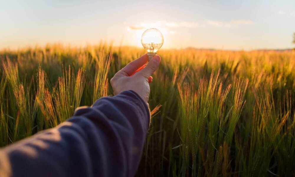 Ledvance concluye 2024 con el refuerzo de su apuesta por la innovación sostenible