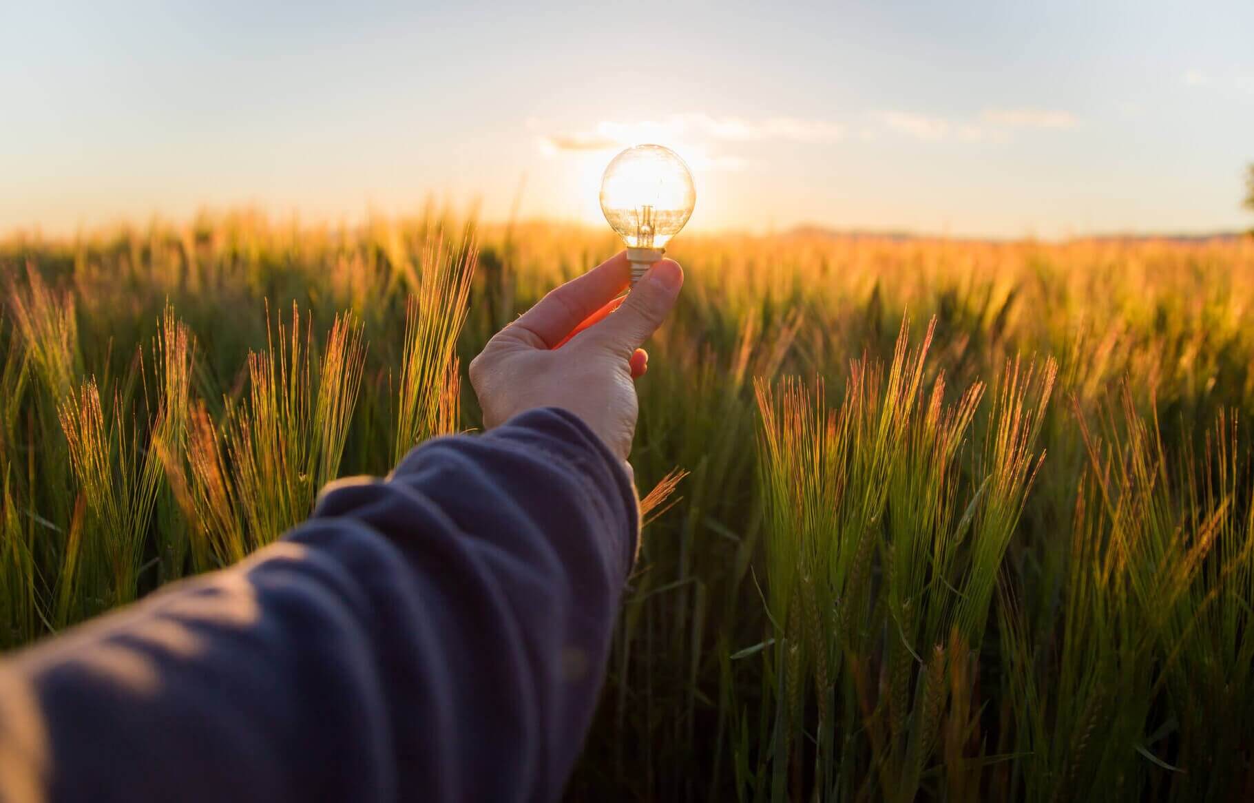 Ledvance concluye 2024 con el refuerzo de su apuesta por la innovación sostenible