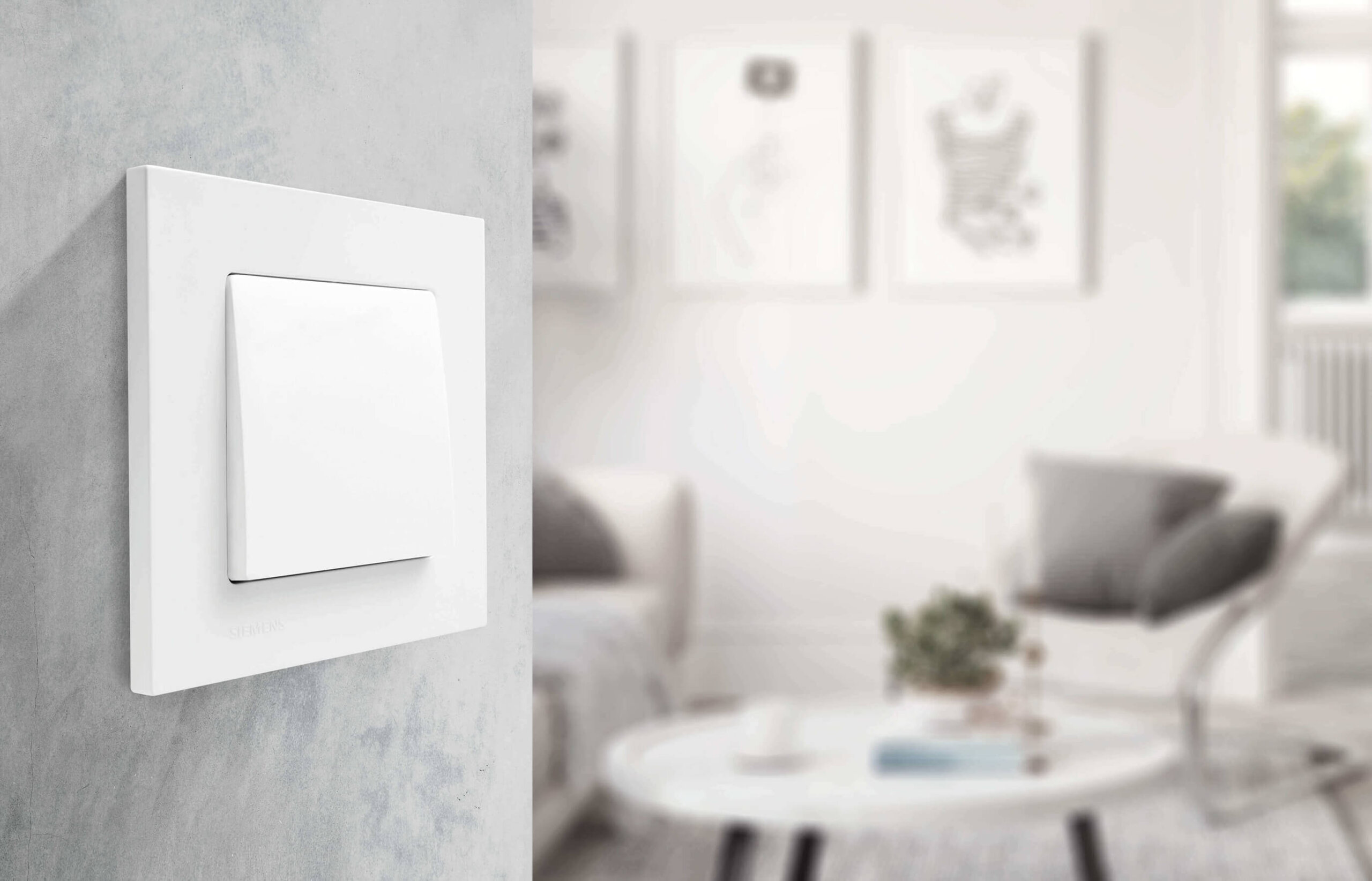 BJC se enfoca en la sostenibilidad con los nuevos diseños de su Serie Miro