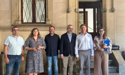 El sector renovable se une para frenar las restricciones a las plantas fotovoltaicas en Mallorca