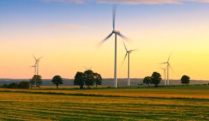 Renocicla, primer programa destinado a las ayudas al ecodiseño, reutilización y reciclado de bienes renovables 