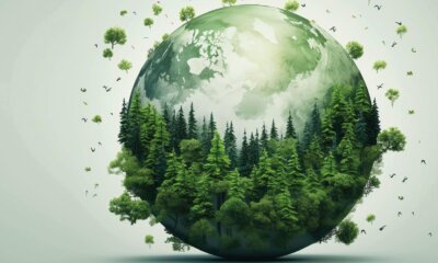 Nace Aesah, una alianza multisectorial para descarbonizar los hogares sin dejar a nadie atrás