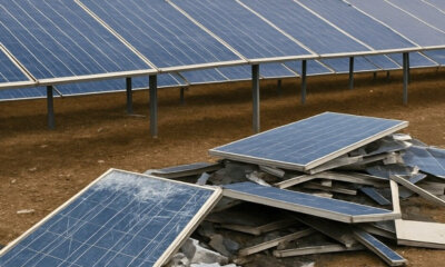 Renocicla, primer programa destinado a las ayudas al ecodiseño, reutilización y reciclado de bienes renovables