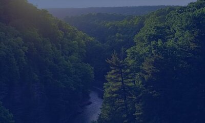 Antolin reducirá un 60 % sus emisiones internas gracias a un proyecto de descarbonización de Schneider Electric