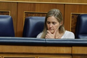 El rechazo parlamentario al Decreto Ley antiapagón frustra las esperanzas del sector eléctrico