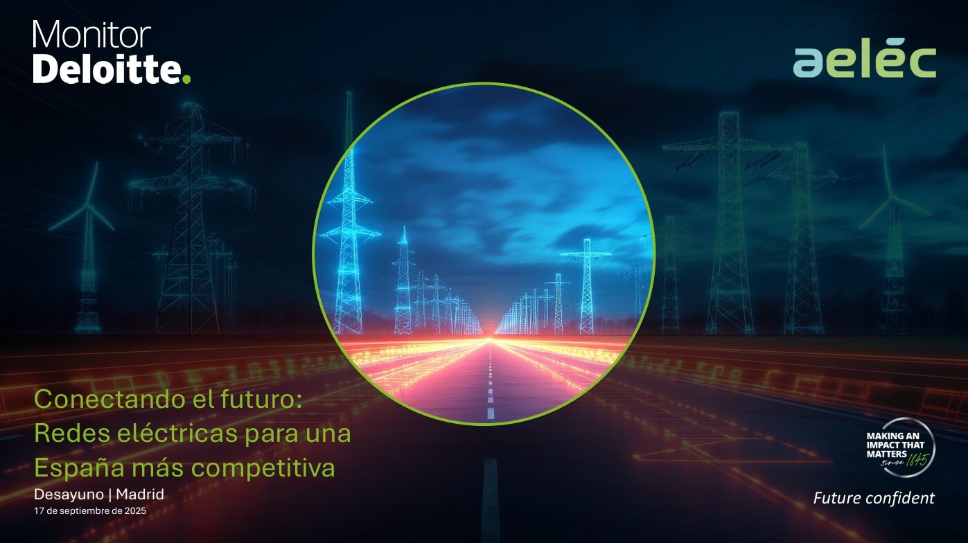 Aelec avala el plan inversor en las redes eléctricas del Gobierno, pero recuerda que en 2024 se concedió menos de un 10 % de acceso a la nueva demanda industrial