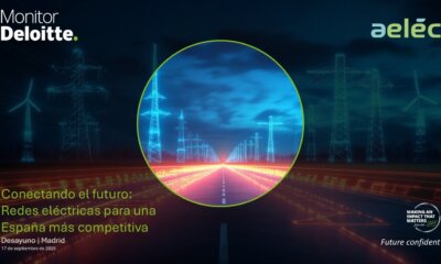 Aelec avala el plan inversor en las redes eléctricas del Gobierno, pero recuerda que en 2024 se concedió menos de un 10 % de acceso a la nueva demanda industrial