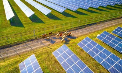 Las zonas rurales generan el 84 % de energía renovable en España