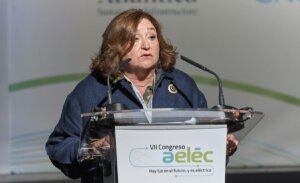 El Congreso de aelēc se conjura en pleno a favor de la electrificación como proceso determinante para el futuro