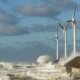 APPA Renovables reclama medidas urgentes para no perder el tren de la eólica marina, que “languidece” en España
