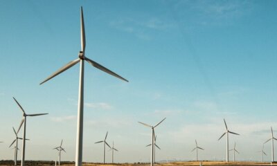 Modificaciones del Miteco en la regulación de las renovables para adaptarla al mercado eléctrico