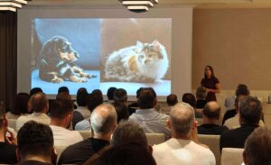 Niessen culmina su gira de presentación de Vega, en 23 ciudades y ante cerca de 4.000 profesionales