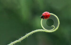 ZIP, la iluminación de emergencia invisible de Normagrup