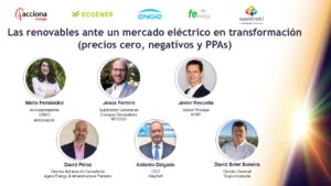 Debate sobre el Mercado Eléctrico
