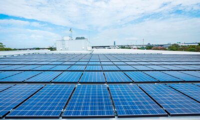 El autoconsumo decrece en los hogares, pero aumenta la apuesta de los comercios